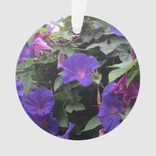 Spring Morning Glories in Blue Ornament