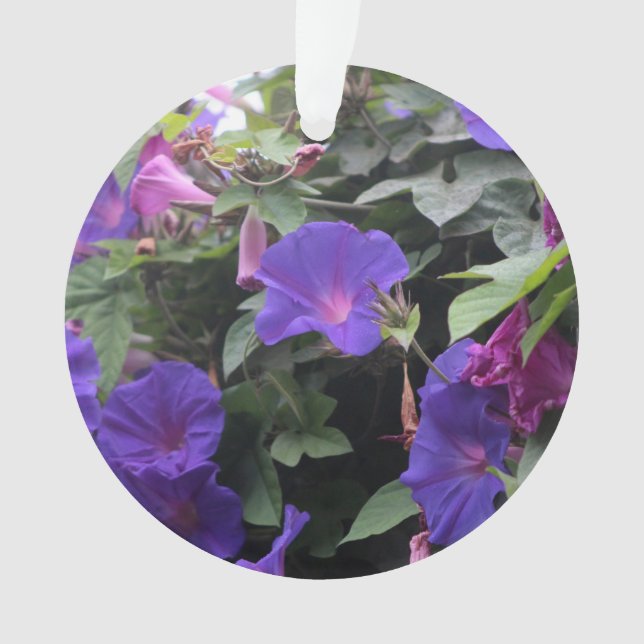 Spring Morning Glories in Blue Ornament (Front)
