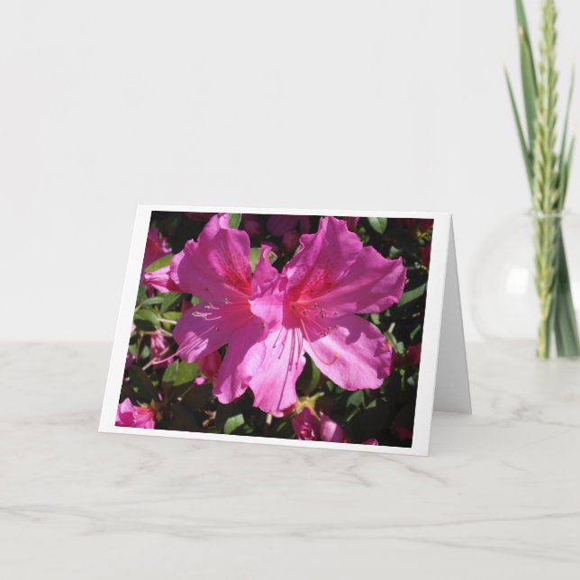 Spring Note Card (Front)