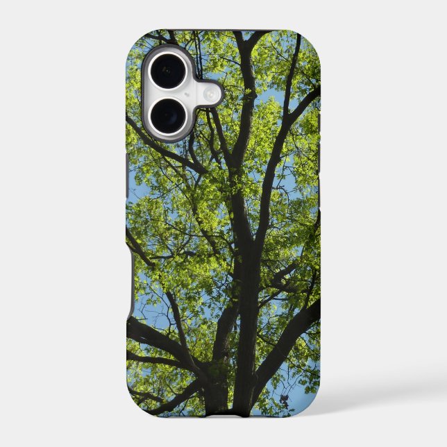 Spring Oak Tree Vibrant Nature (Back)