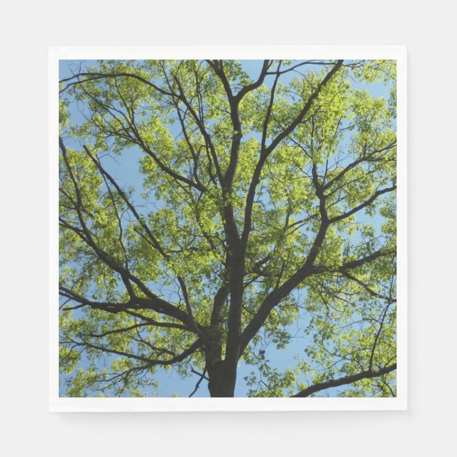 Spring Oak Tree Vibrant Nature Napkin (Front)