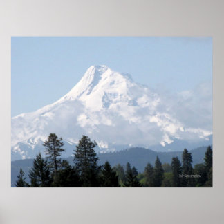 Spring on Mt Hood Poster