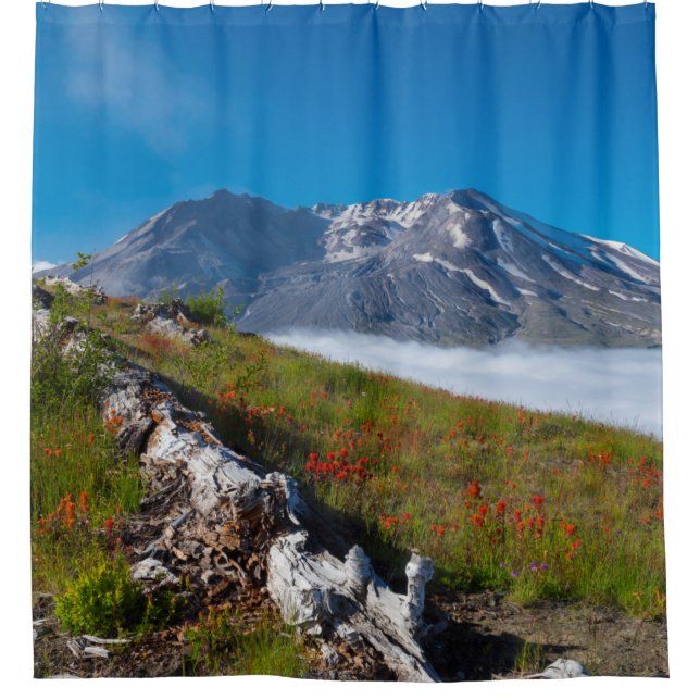 Spring on Mt. St. Helens (Front)