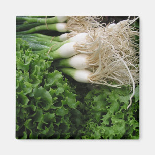 Spring onions and lettuce magnet