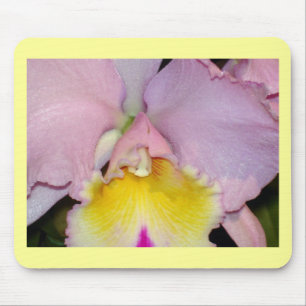 Spring Orchid Mouse Pad
