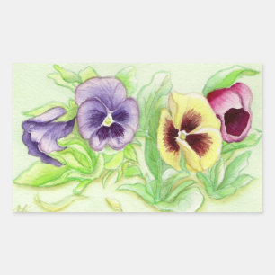 Spring pansy sticker