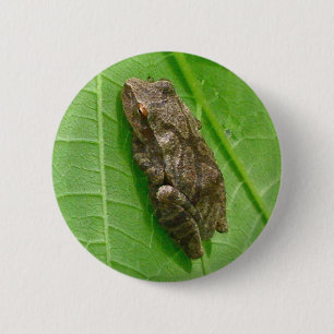 Spring Peeper (Pseudacris crucifer) Treefrog Items 2 Inch Round Button