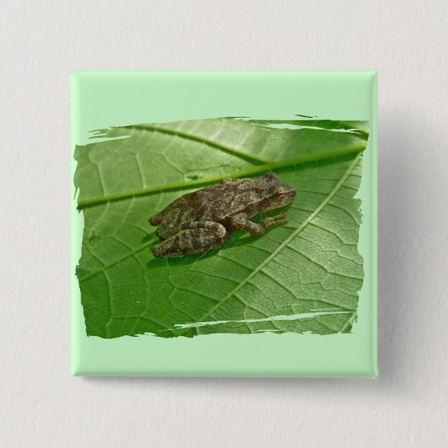 Spring Peeper (Pseudacris crucifer) Treefrog Items 2 Inch Square Button (Front)