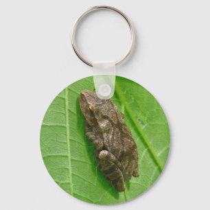Spring Peeper (Pseudacris crucifer) Treefrog Items Keychain