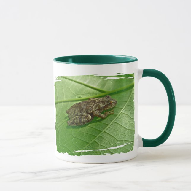 Spring Peeper (Pseudacris crucifer) Treefrog Items Mug (Right)