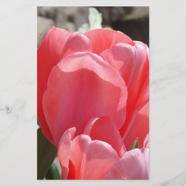 Spring Personalized Stationery Pink Tulip Flowers (Front)