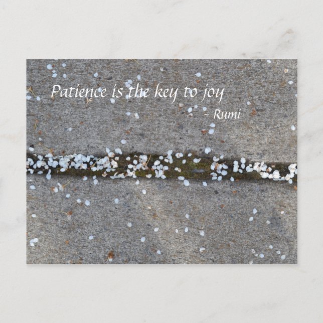 Spring Petals Rumi Joy Postcard (Front)