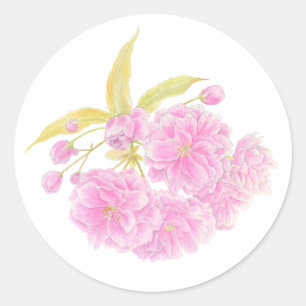 Spring pink cherry blossom flower sticker