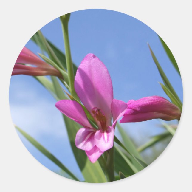 Spring Pink Flower Stickers (Front)