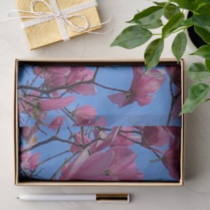 Spring Pink Magnolia Blossoms Blue Sky Hanami      Tissue Paper