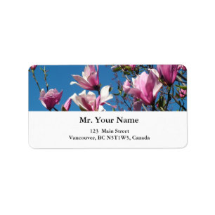 spring pink magnolia flowers in blue sky label