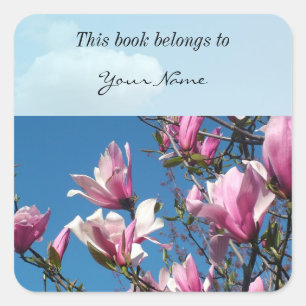 spring pink magnolia flowers in blue sky square sticker