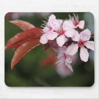 spring pink plum flowers mouse pad