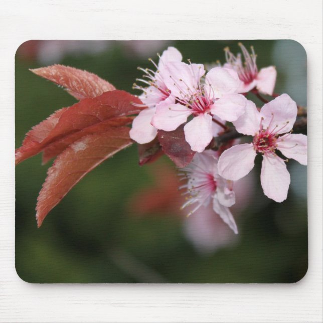 spring pink plum flowers mouse pad (Front)