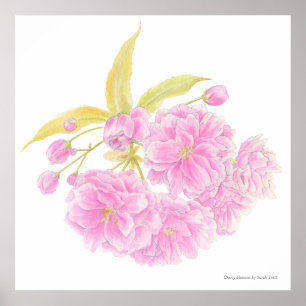 Spring pink tree blossom watercolor art poster
