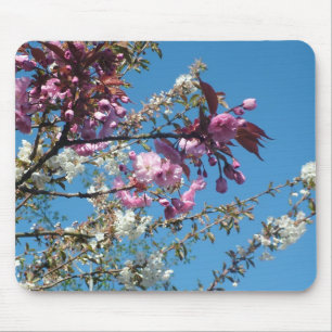 Spring pink white cherry flowers in blue sky mouse pad
