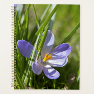 Spring Planner
