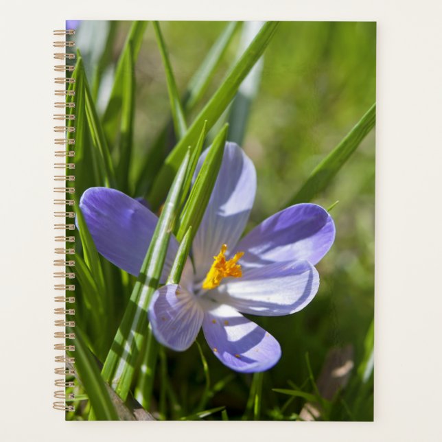 Spring Planner (Front)