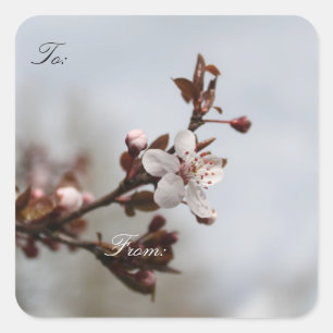 spring plum blossom, Christmas gift wrap labels. Square Sticker