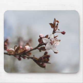 spring plum blossom mouse pad
