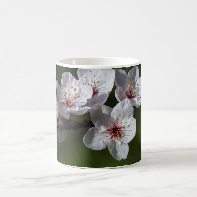 Spring plum blossoms coffee mug (Center)