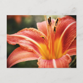 Spring Poetry Postcard