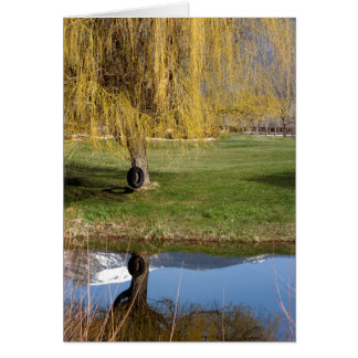 Spring Pond Comfort Card