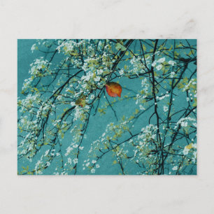 Spring Postcard