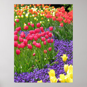 spring poster