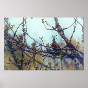 Spring Poster