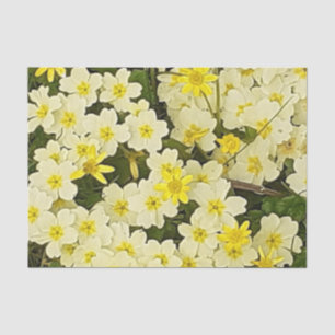 Spring Primrose Tissue Paper