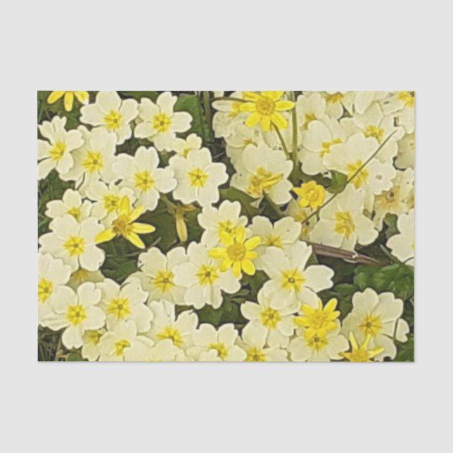 Spring Primrose Tissue Paper (Front)