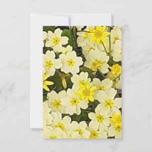 Spring Primroses Card