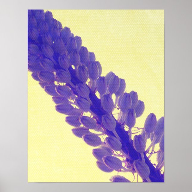 Spring Prints (Front)