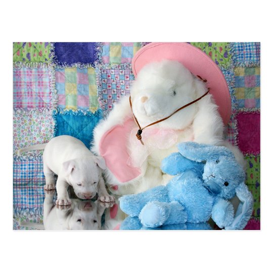 Spring Puppy Love Postcard