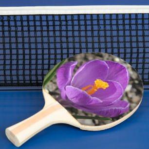 Spring Purple Crocus Flower Photo 2-Sided Printn Ping Pong Paddle