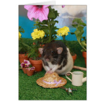 Spring Rat Card