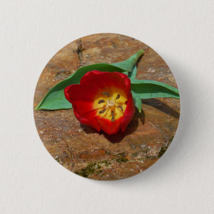 Spring Red Tulip 2 Inch Round Button