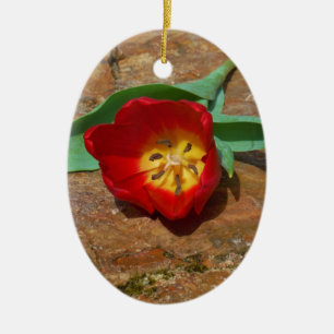 Spring Red Tulip Ceramic Ornament