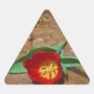 Spring Red Tulip Triangle Sticker