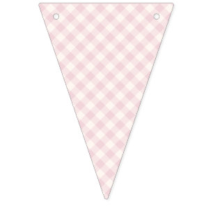 Spring Retro Gingham Soft Blush Bunting Flags