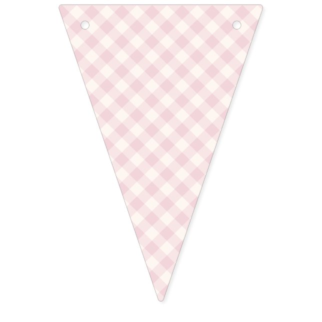 Spring Retro Gingham | Soft Blush Bunting Flags (First Flag)