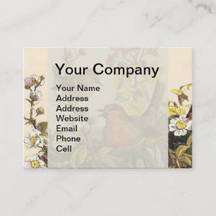 Spring Robin Birds Red Birding Business Card