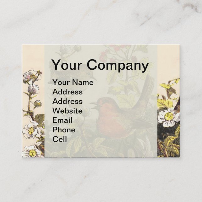 Spring Robin Birds Red Birding Business Card (Front)