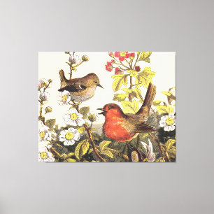 Spring Robin Birds Red Birding Canvas Print